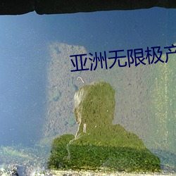 亚洲(zhōu)无限极产品