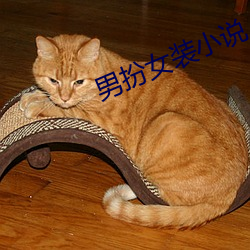 男扮女裝小說