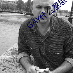 GAY什(shén)么意思
