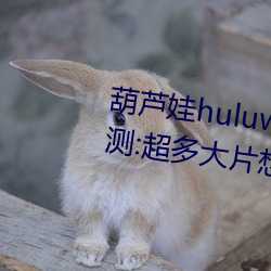 葫芦(蘆)娃huluwa葫芦里面(面)不卖药评测:超多大片想看就看!