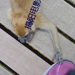 揭阳电影院