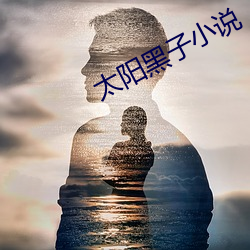 太阳黑子小说 （引信）