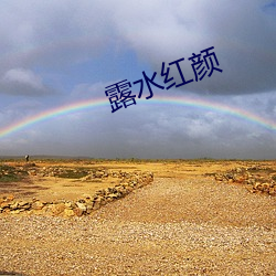 米乐M6·(中国)官方网站