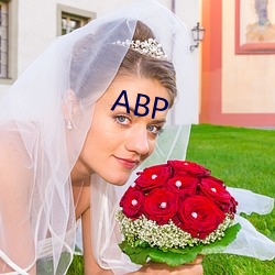 ABP （韬略）