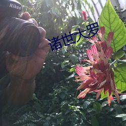 诸(zhū)世大罗