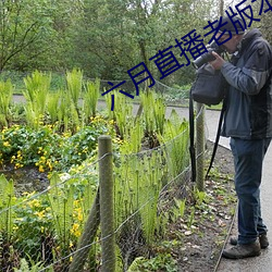 六月直播老版本
