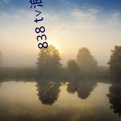 838 t∨浪花直播app