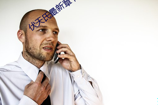 伏天(天)氏最新(新)章节
