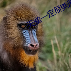 天堂一(yī)定很美原唱