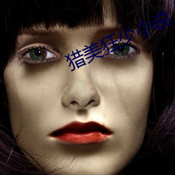 猎美狂少小说