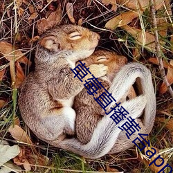 草莓直播黃台app