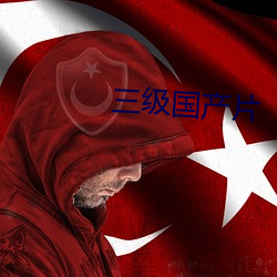 三级国产片 画龙点睛）