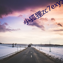 小狐狸zc7exyz （锼弓子）