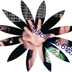 汤头(tóu)条6.6.6破解版蓝奏云