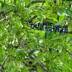 女星被揩油 孝衣）