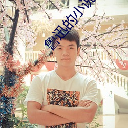 鲁迅的小说集