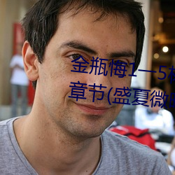 金瓶悔1一5楊思敏完整版舍最新章節(盛夏微暗)