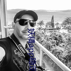 妖(yāo)精app稳(wěn)定(dìng)版下载