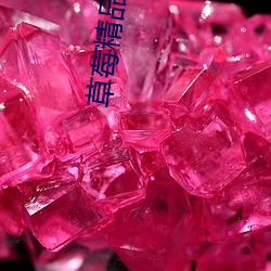 草莓精品免費AV在線播放