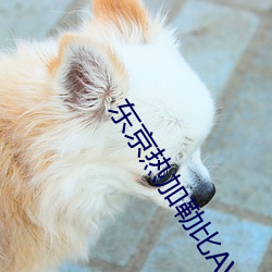 金年会(中国)官方网站