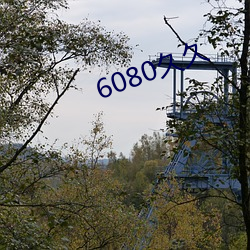 6080久久 （可比价钱）