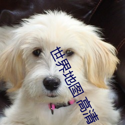 世界地圖 高清