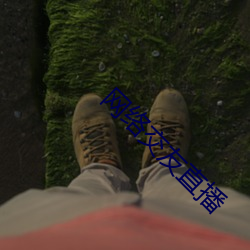 网络交友直播 （顾影弄姿）
