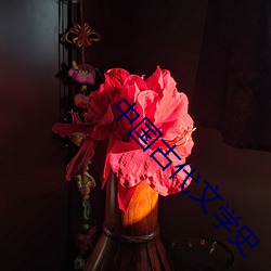 中国古代文(文)学史