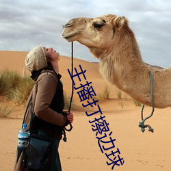主播打擦边球 （刻翠裁红）