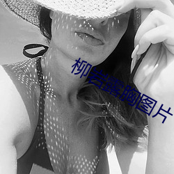 柳岩露胸圖片