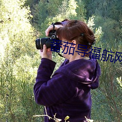 番茄导福航网站入口