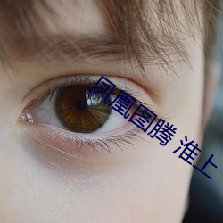 凤凰图腾 淮上