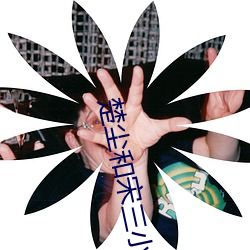 楚尘和宋三(三)小姐的小说(說)笔趣阁