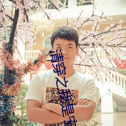 清穿之我是甯妃