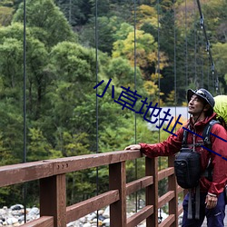 小草地扯一二三四2021