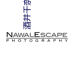 酒井千奈(n¨¤i)美