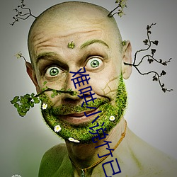 难(nán)哄小说竹(zhú)已