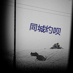 同城约呗