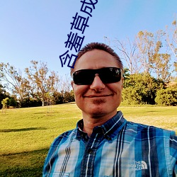 含羞草成长的视频