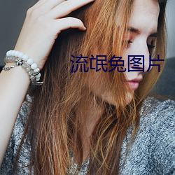 流(流)氓(氓)兔(兔)图片