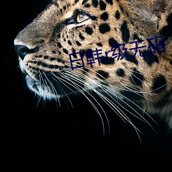 日韩r级无(wú)码