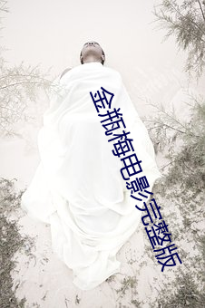 金瓶梅电影完整版 （闳中肆外）