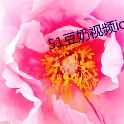 51豆奶视频ios下载 （聊复尔尔）