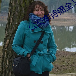 公交车诗锦全文免费阅读