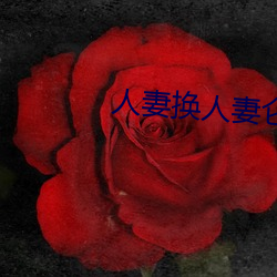 人妻换人妻仑乱 （日久岁长）