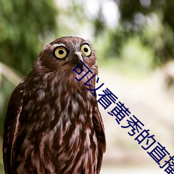 可以看黄秀的直播ios （排患解纷��