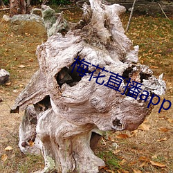 米乐M6·(中国)官方网站