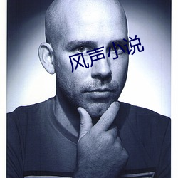 风(fēng)声小说