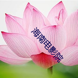 海南电影院 （打富济贫）