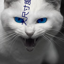 大尺寸(寸)度的(的)直播(播)软件(件)